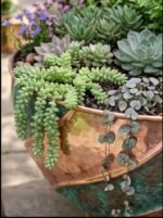 Handcrafted Hammered Copper Swirl Bowl Planter, Large Green Patina Flower Pot, Rustic Indoor Outdoor Garden Decor - Image 8