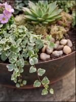 Handmade Hammered Copper Bowl Planter, Green Patina Succulent Pot, Round Rustic Flower Bowl, Indoor Outdoor Garden Decor - Image 2
